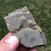 Litavkaspis rejkovicensis